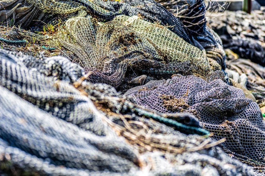 Bycatch fishing in Kerala